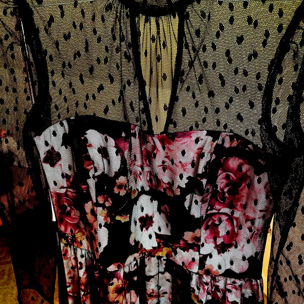 Eliza J lace overlay dress Size 4